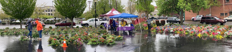 McMinnville's Hanging Basket Sale