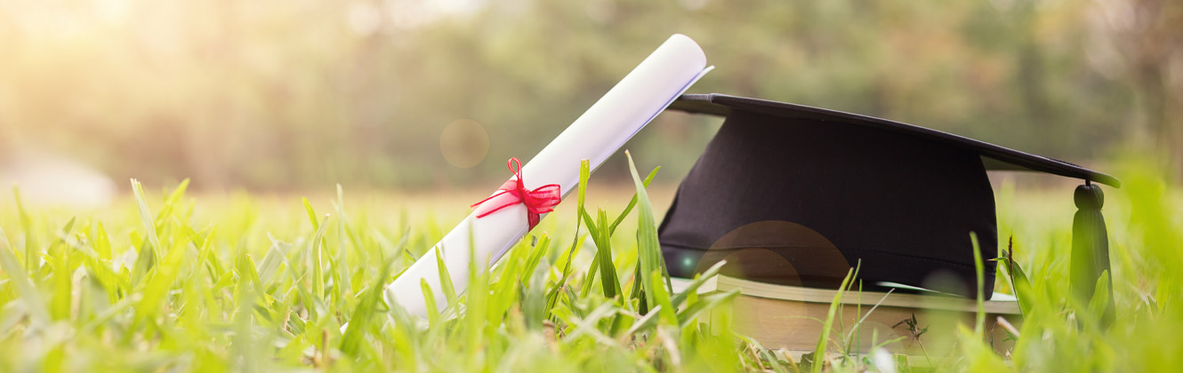 Graduate's hat and diploma in the grass